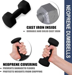 Black 10lb Cast Iron Weights for Home Gym
