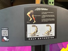 Calf Machine- Life Fitness signature series calf machine