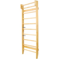 Gymnastics Wood Stall Bar & Ladder, Wall Mounted Pull Up Bar, Physical Therapy