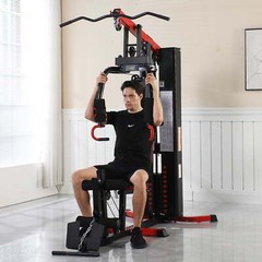LX760 Multifunctional Full Home Gym System Workout Station with 122.5 Lbs Weight