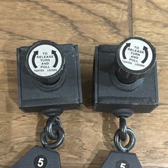 Set of 2 Bowflex Xceed Xtreme 2 OEM Slider 3.5” Pulley w Locking Pin FREE SHIP