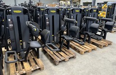 Technogym Selection Pro 900 Lower Back Back Stretcher Fitness Hyperextension