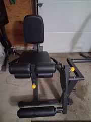 Hudson Steel Leg Extension/Curl Machine