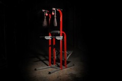 Stamina X Fortress Power Tower Home Gym Pull Up Fitness Workout Station, Red
