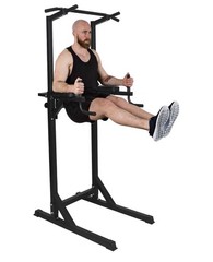 Adjustable Height Standing Pull Up Bar Dip Station