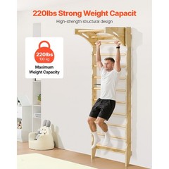 Uimoso Swedish Ladder Wall Gym 2-in-1 10-Level 220 lbs Capacity Fitness Equipmen