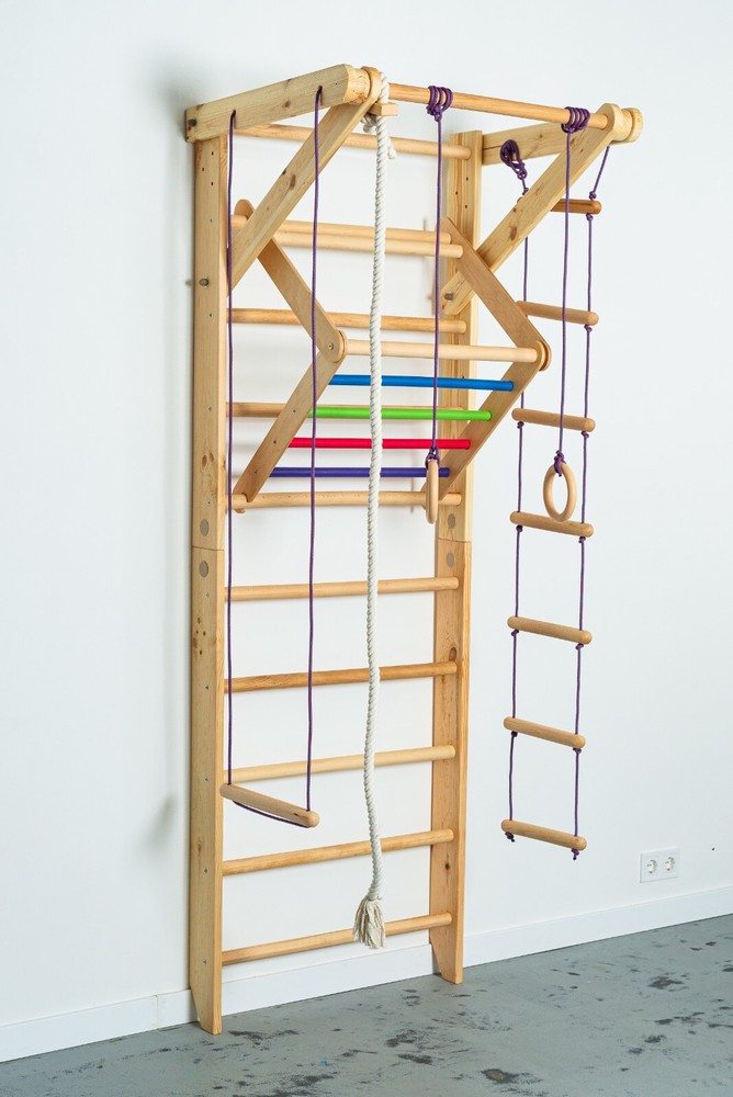 Sport Ladder For Kids and Adults – Gymnastic Swedish Ladder w/ Rope Attachments
