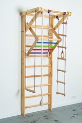 Sport Ladder For Kids and Adults – Gymnastic Swedish Ladder w/ Rope Attachments