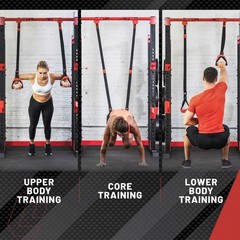 Lifeline Jungle Gym XT Body Weight Suspension Trainer System – Patented Sp