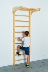 Wall Stall Bars – Wooden Swedish Ladder Set with Pull Up Bars for Training