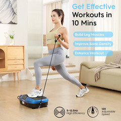 NEW Flybird Vibration Plate HR23-SZJ Black Sealed Box