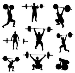 The Fitness Gear 300 lb Olympic Weight Bar & Squat Rack