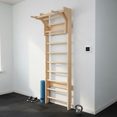 All-in-one wooden sport ladder