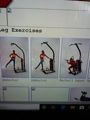 Exergym ( PT 2000 ) Best Training Equipment, Under 20 ever Made