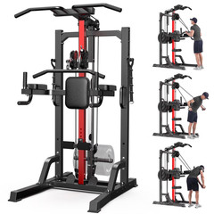 Home Gym Station, 450LBS Multi Home Gym Equipment for All Body Training,Power…