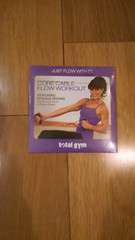 Total Gym Video: Rosalie Brown Core Cable Flow Workout – NEW DVD, Free S/H