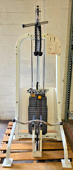 HOIST Bicep Tricep Selectorized Machine HD 1100 Commercial 1 Year Warranty