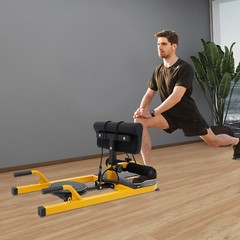 Multifunction Sissy Squat Machine Hip Thrust Machine Sit up Exercise Set U-shape