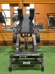Temple of Gainz POWER SQUAT / V SQUAT / HACK SQUAT MACHINE PLATE-LOADED