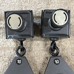 Set of 2 Bowflex Xceed Xtreme 2 OEM Slider 3.5” Pulley w Locking Pin FREE SHIP