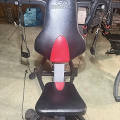Bowflex Xceed SE