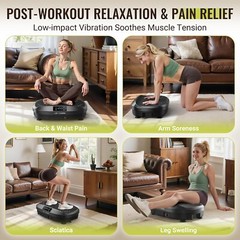 NEW Flybird Vibration Plate HR23-SZJ Black Sealed Box