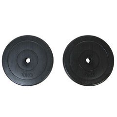 Weight Plates 2×22 lb