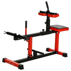 Training Gym Equipment
