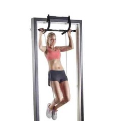 Golds Gym Multi Training Door Gym