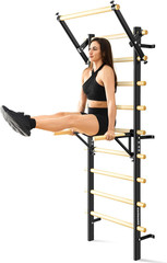 Wall Mounted Swedish Ladder Wall Gym – Wooden Stall Bars Pull Up Dip Station