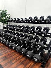 Full Home Gym Equipment Setup for Sale – Weights, Racks, Machines & More!