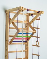 Sport Ladder For Kids and Adults – Gymnastic Swedish Ladder w/ Rope Attachments
