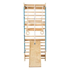 Swedish Ladder Wall Gym 8 in 1 Wooden Indoor Playground Climbing Ladder