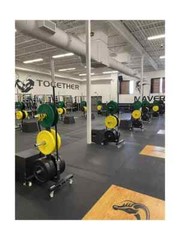 MOTIVE FITNESS – CFF Olympic Mobile Bar & Bumper Plate Tree – 1000 lb. Capacity
