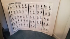 Solo Flex exercise equipment – 2 near complete Units – 1 price