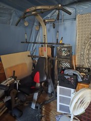 Bowflex Xceed Home Gym