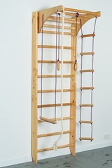 Wooden playground for home-Kids and adults wooden sport ladder with Swing set