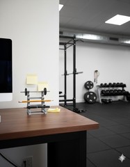 Mini Strength: Weight Rack Pen Holder / Gray rack and you choose plate color.