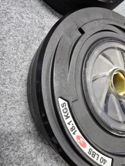 Bowflex Revolution Spiraflex 40lb-Weight Plates -2 Pieces 80lbs Total- Free Ship