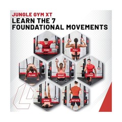 Lifeline Jungle Gym XT Body Weight Suspension Trainer System – Patented Sp