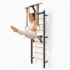 Wall Mounted Swedish Ladder Gym Stall Bar Pull Up Bar Home Fitness Workout