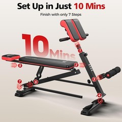 4 in 1 Fitness Equipment with Adjustable Bench for Core and Strength Training