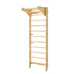 Uimoso Swedish Ladder Wall Gym 2-in-1 10-Level 220 lbs Capacity Fitness Equipmen