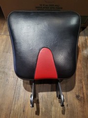 Bowflex Xceed, Xtreme 2 SE, & Xtreme SE Lower Seat Pad Assembly. Free Shipping