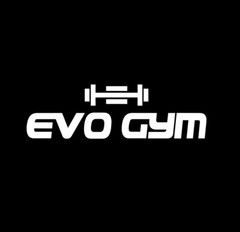 Lifting Straps Evo Gym, Gym Accessories