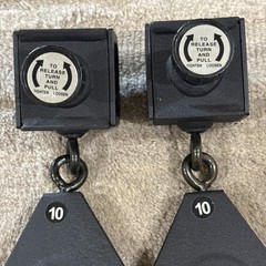 Set of 2 Bowflex Xceed Xtreme 2 OEM Slider 3.5” Pulley w Locking Pin FREE SHIP