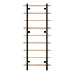 Swedish Ladder Wall Gym 9-Level 330LBS Swedish Ladder Suspension Trainer