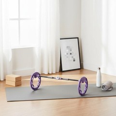 Twin Wheel Exercise Wheel Pelvic Lifting Waist Twisting Exercise Wheel Small