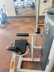 iprecor Leg Extension Home Gym, Padded Metal, Gray/Black